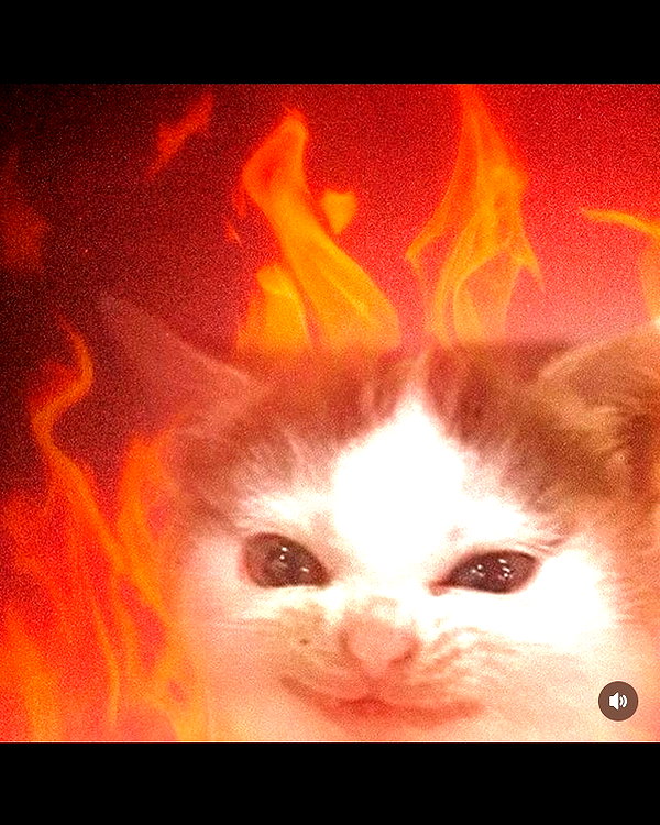 leanbeefpatty instagram image archive image