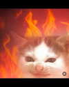 leanbeefpatty Altpins Profile Picture