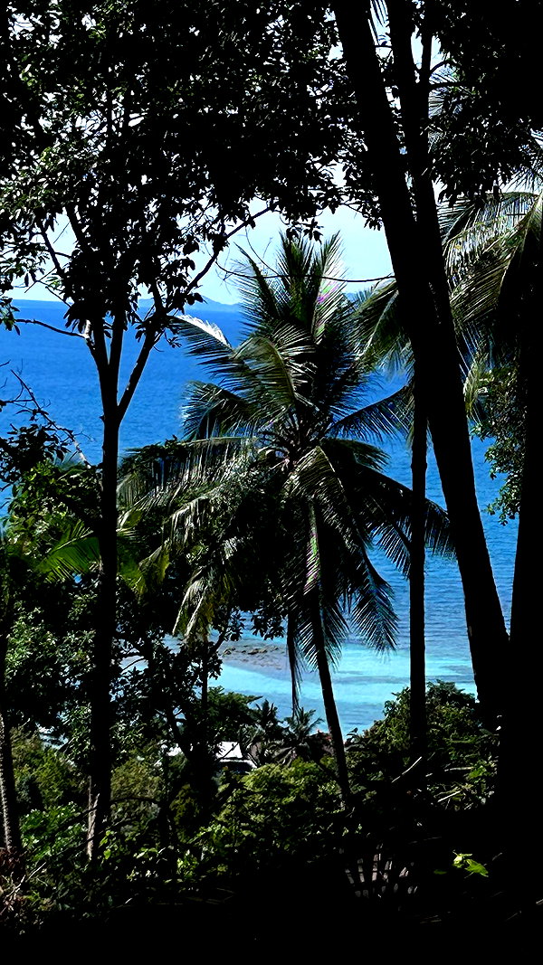 tamar_tsur instagram image archive image