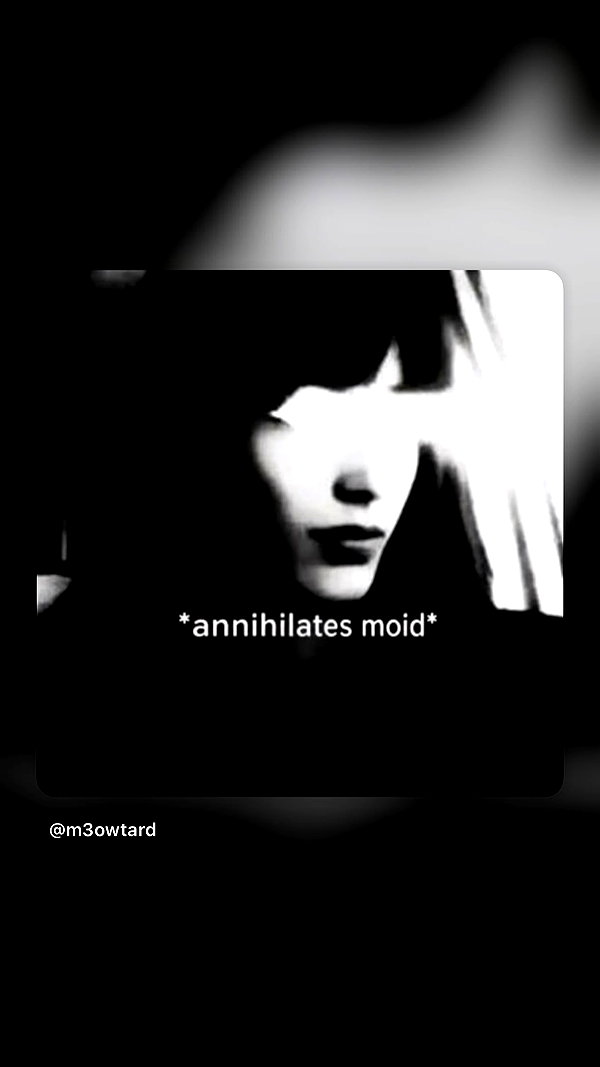 m3owtard instagram image archive image