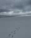 rouxroux.tv Altpins Profile Picture