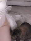 danielle.mercedie Altpins Profile Picture