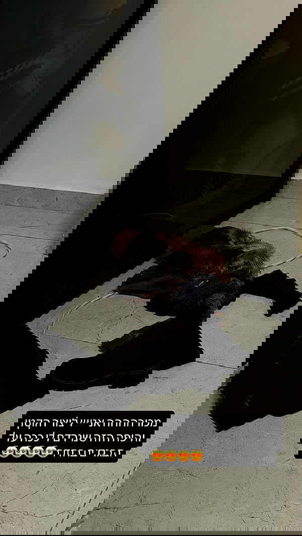 _lil_noa_ _lil_noa_ archive image