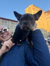 reneeebeller Altpins Profile Picture