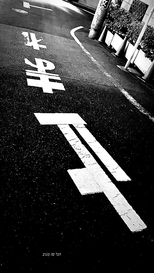 lihi.k_ instagram image archive image