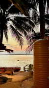 shirakor_ Altpins Profile Picture