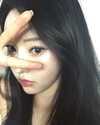 daxbin Altpins Profile Picture