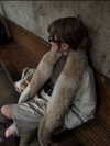 fair_mua Altpins Profile Picture