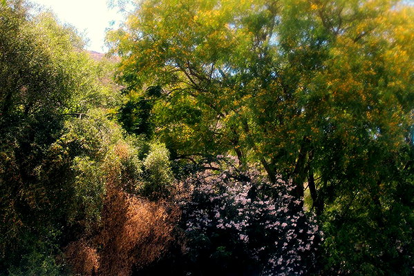 rei.sigalov instagram image archive image
