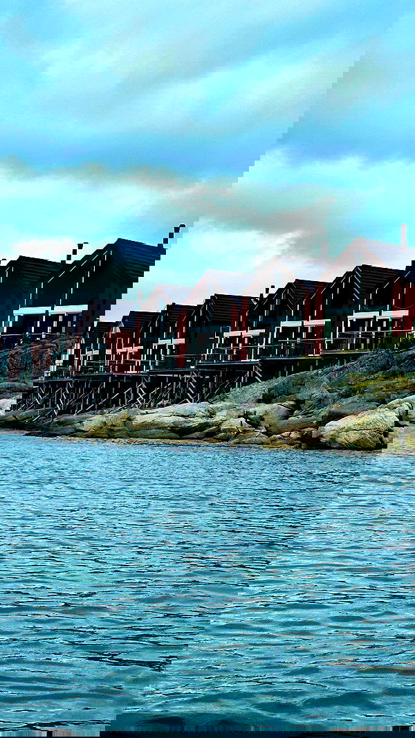 taylor.creeden taylor.creeden archive image