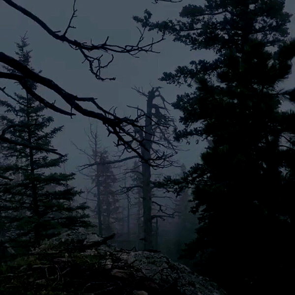 apathy.impress instagram image archive image