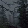 apathy.impress Altpins Profile Picture