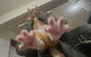 lamegfff Altpins Profile Picture