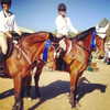 gigihadid Altpins Profile Picture