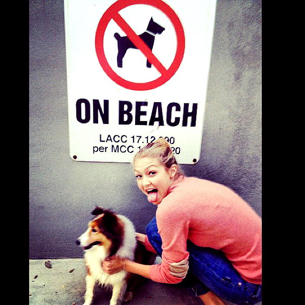 gigihadid instagram image archive image