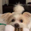 madelame Altpins Profile Picture