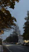 naivems_ Altpins Profile Picture