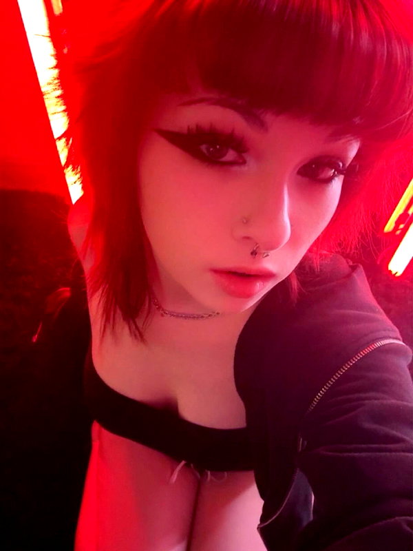 soupikitty archive image
