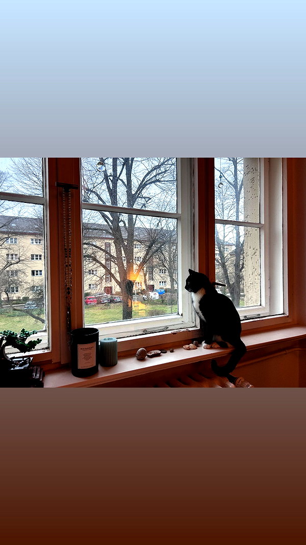 karolinaawasik archive image