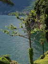 elizabethcampbelljones Altpins Profile Picture