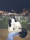 zuhazana Altpins Profile Picture
