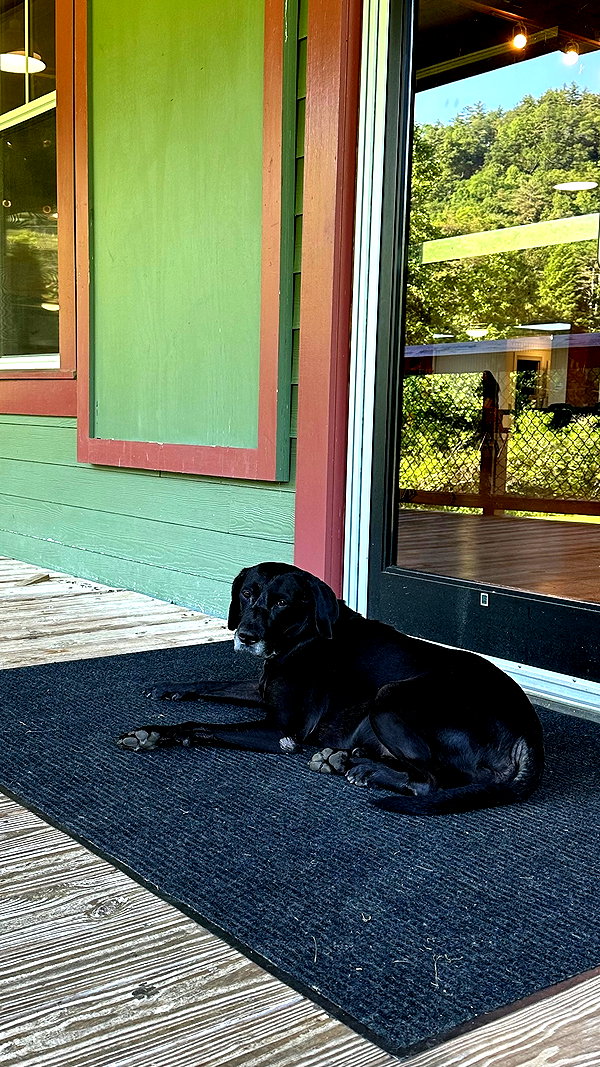 roni_ackerman roni_ackerman archive image