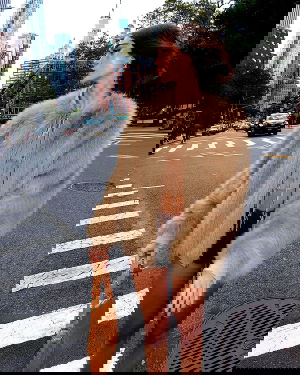 taylor.creeden taylor.creeden archive image