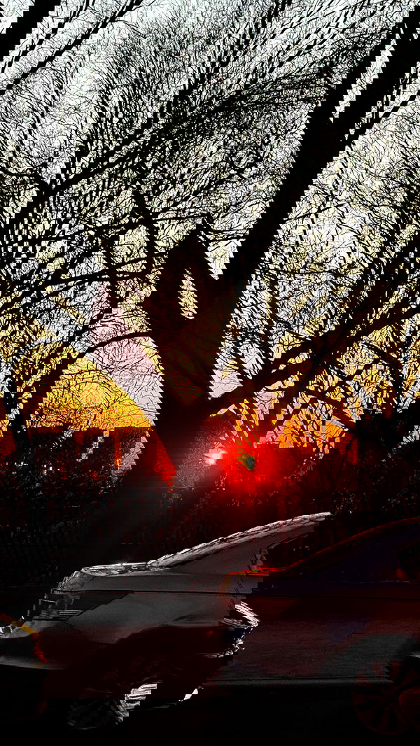 rchhhll rchhhll archive image