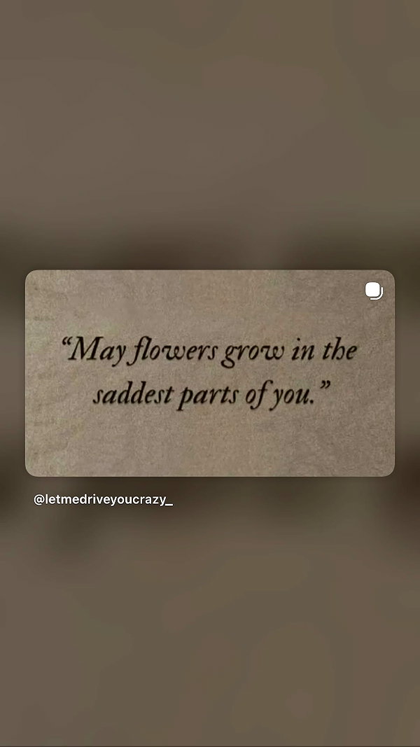 Archived image from @notchicore on Instagram