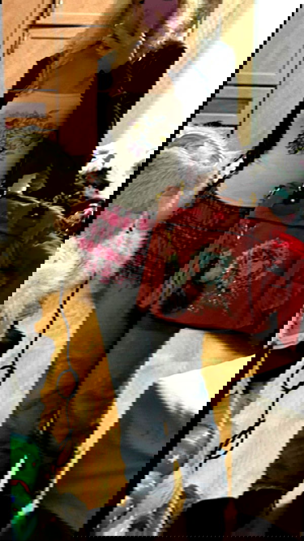 ormosheee ormosheee archive image