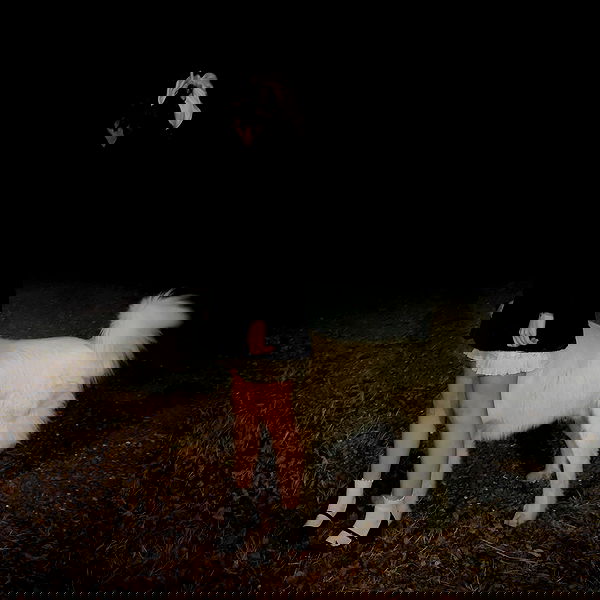 missnyxdawn missnyxdawn archive image