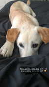 gabbyepstein Altpins Profile Picture