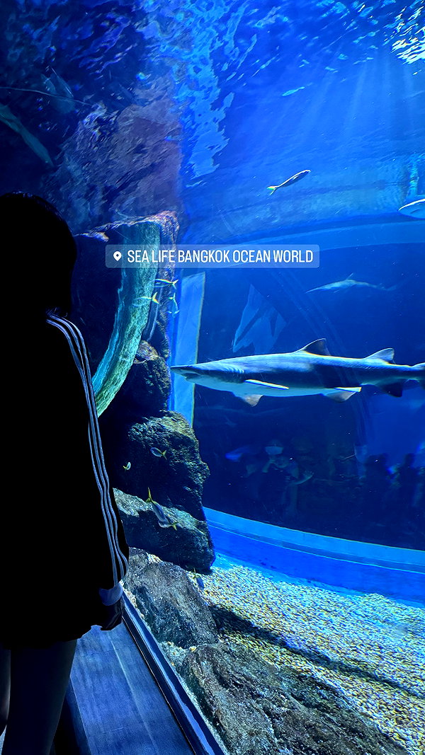 fallen.angel2007 instagram image archive image