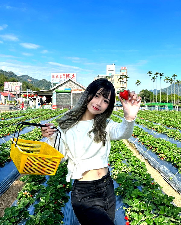 ____sy.02 instagram image archive image
