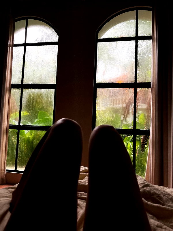 carolinezalog instagram image archive image