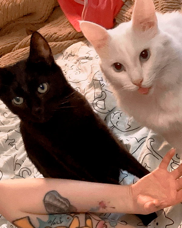 bakabakafuwa instagram image archive image