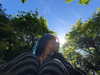 leyla.annemarie Altpins Profile Picture