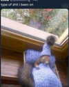 rouxroux.tv Altpins Profile Picture