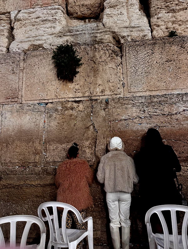 tirtza_cohen instagram image archive image