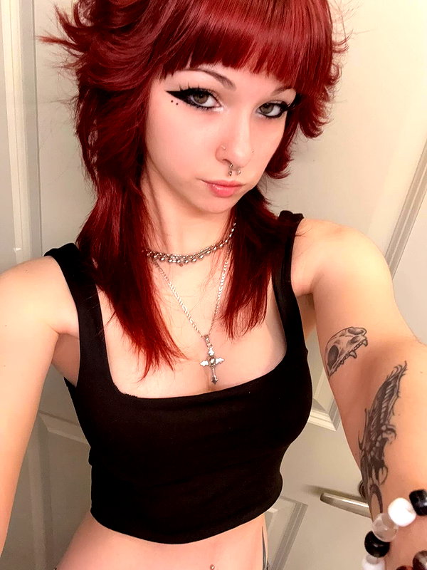 soupikitty archive image