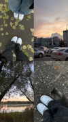 nasstellaa Altpins Profile Picture