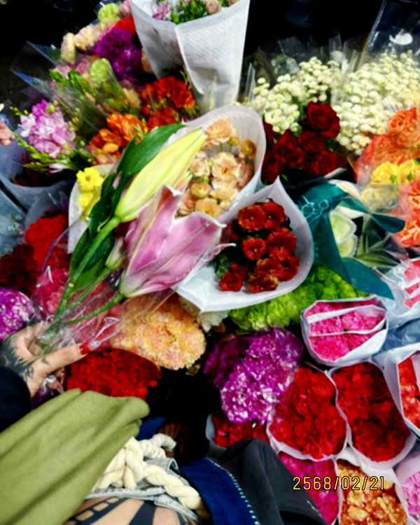 darkstar_mia instagram image archive image