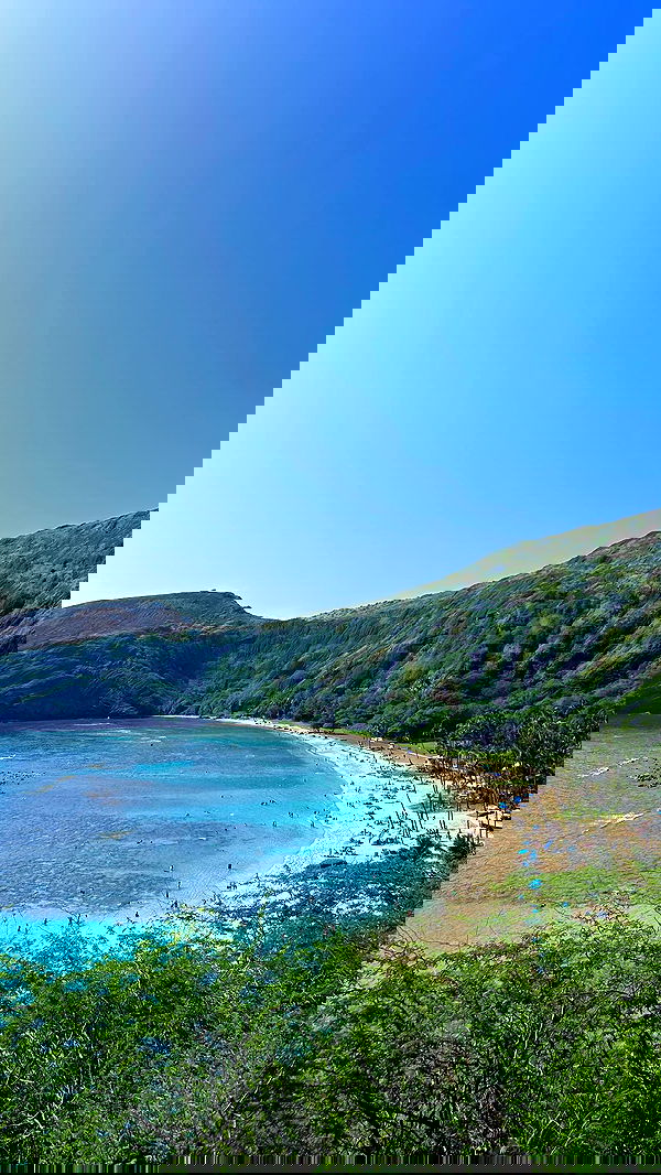 ellamwatts_ ellamwatts_ archive image