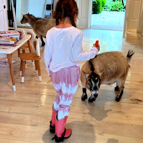 gigihadid instagram image archive image