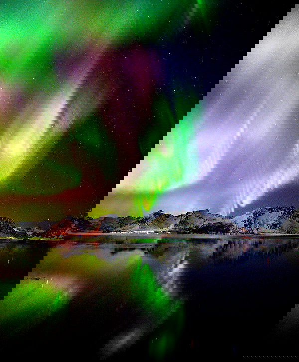 taylor.creeden taylor.creeden archive image