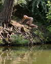 milena_milachich Altpins Profile Picture