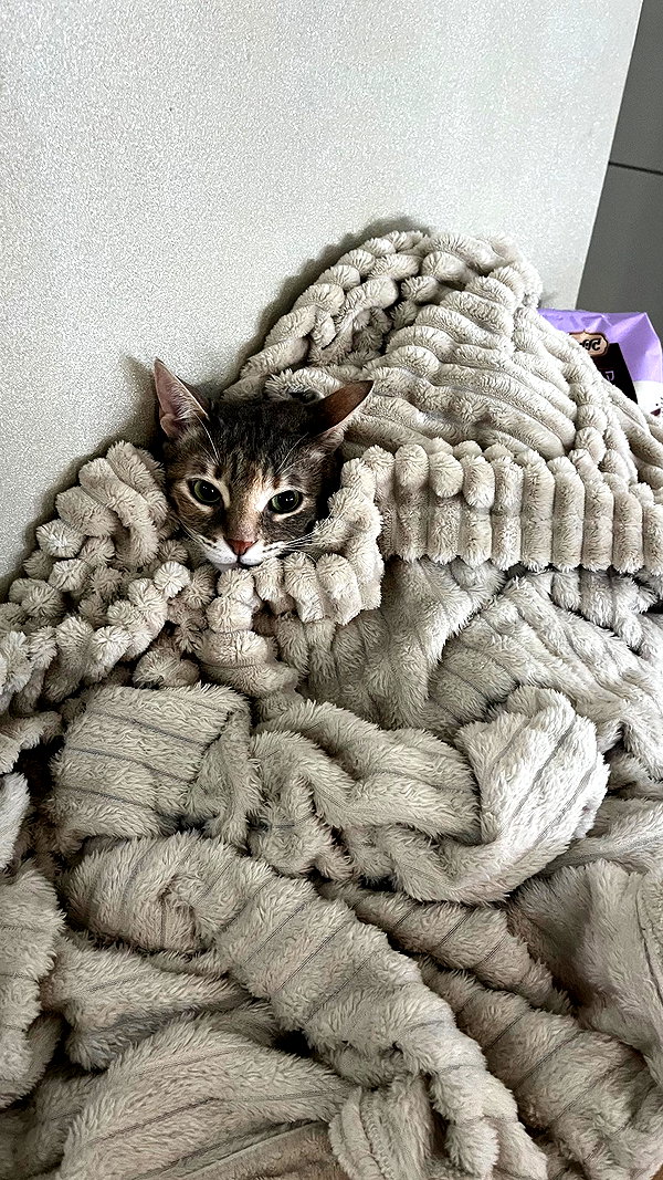 Archived image from @notchicore on Instagram
