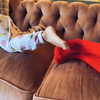 katehudson Altpins Profile Picture