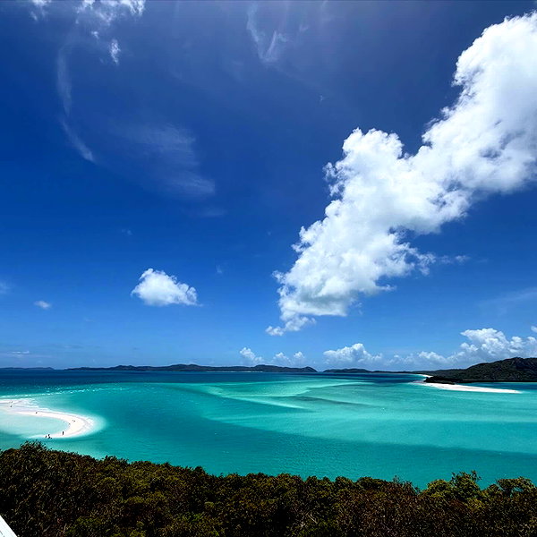 maori_cohen instagram image archive image