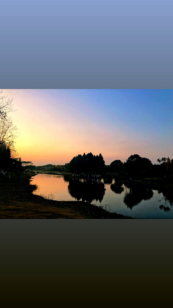 nikoleta.milenova instagram image archive image